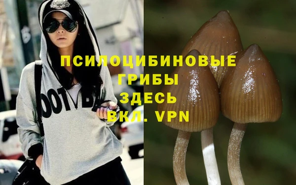 тгк Магадан