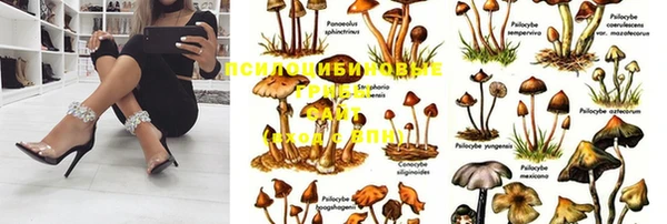 мяу мяу кристалл Алексеевка