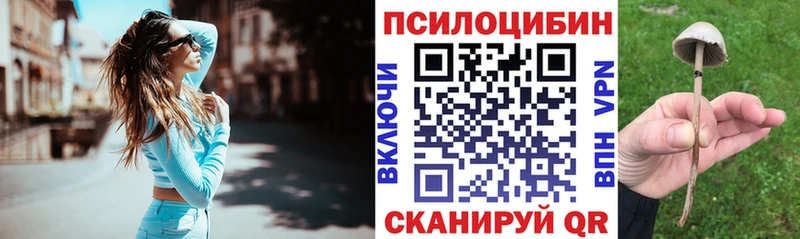 Псилоцибиновые грибы GOLDEN TEACHER  сколько стоит  Чистополь 